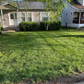 residential landscaping by Joe Molinaro reviewed on August 18, 2025