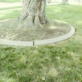 Flower Bed Weeding by Rose Lawn and Landscape, LLC reviewed on August 19, 2025