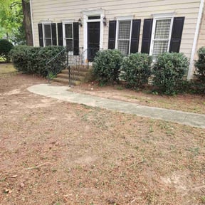 Bush Trimming by D&k Taylor lawn care reviewed on August 16, 2025