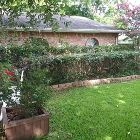 Bush Trimming by G&G landscaping LLC reviewed on August 17, 2025