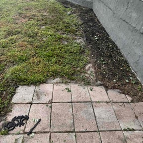 Flower Bed Weeding by Mark Cowper reviewed on November 21, 2025