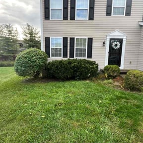 Bush Trimming by B&amp;M Lawn Services reviewed on November 24, 2025