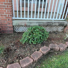 Flower Bed Weeding by A&amp;M reviewed on October 19, 2025