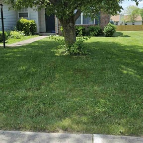 yard maintenance by Contreras Outdoors reviewed on August 20, 2025