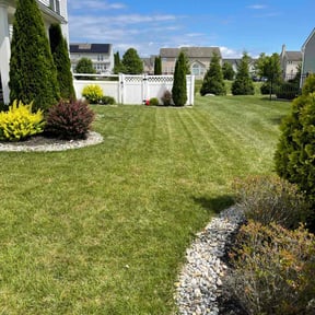 lawn care services by Self-Develope Services reviewed on August 14, 2023
