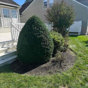 Bush Trimming by BnB So. Cal reviewed on October 19, 2025