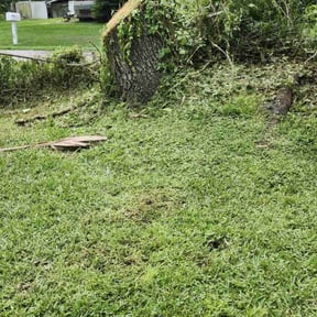 Bush Trimming by Arm Lawn Care reviewed on August 17, 2025