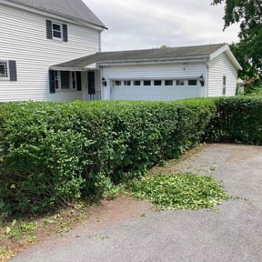 Bush Trimming by La Mejor Landscaping reviewed on August 15, 2025