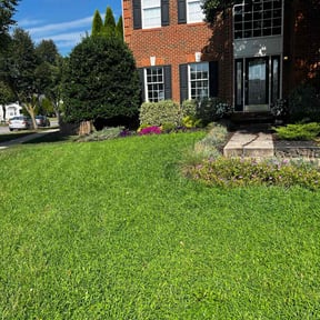 yard work by Merle friend lawn service reviewed on August 16, 2025