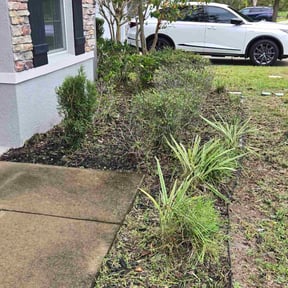 Bush Trimming by K&amp;K Service  llc reviewed on December 22, 2025