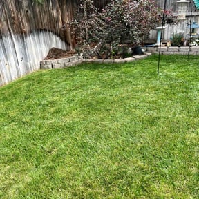 yard work by K&G Lawncare reviewed on August 15, 2025