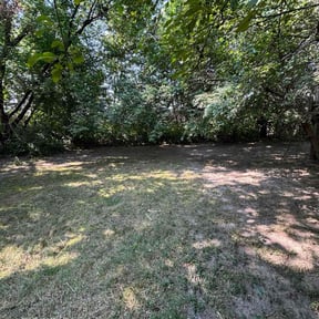 Leaf Removal by Mata lands Services  reviewed on October 2, 2025