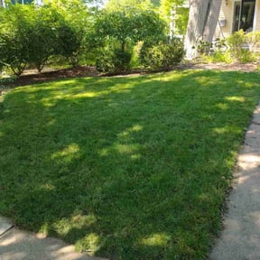 lawn care services by Laid off Lawn Care reviewed on August 21, 2025