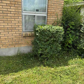 Bush Trimming by Sam's Lawn Care reviewed on July 19, 2026