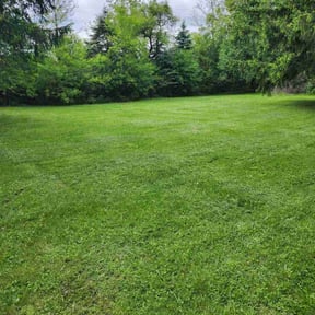 lawn service by King of Lawn Care LLC reviewed on March 15, 2024