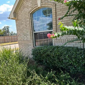 Bush Trimming by Jolie Lawn Service reviewed on August 15, 2025