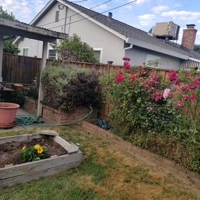 Bush Trimming by Ramirez Hernandez Landscape reviewed on August 19, 2025
