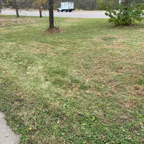 Leaf Removal by electric landscaping llc reviewed on November 25, 2025