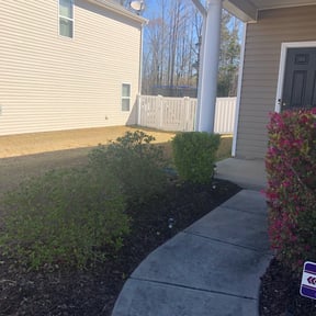 Bush Trimming by Chavez Landscaping reviewed on August 19, 2025