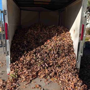 Leaf Removal by BB United reviewed on November 24, 2025