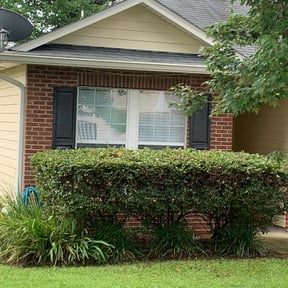 Bush Trimming by MPV Landscaping reviewed on August 18, 2025