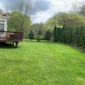 landscaping services by DMD LAWN RESCUE reviewed on August 18, 2025