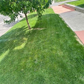 gardening service by Razi Lawn Care reviewed on December 25, 2025