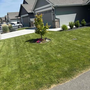 yard care by Amazon Lawn and Landscape reviewed on August 15, 2025
