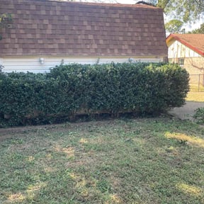 Bush Trimming by ChevysLandScaping reviewed on January 8, 2026