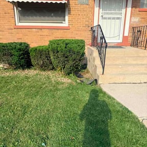 Bush Trimming by The Yard Heroes Landscaping &amp; Lawn services reviewed on June 26, 2026