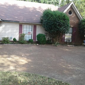 Bush Trimming by Djalt Lawn Maintenance, LLC reviewed on August 19, 2025