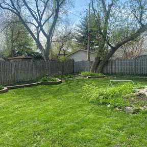 turf maintenance by SN Landscaping reviewed on May 24, 2024