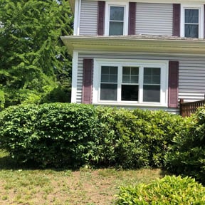 Bush Trimming by Chai reviewed on August 18, 2025