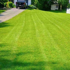 yard maintenance by Sugar &amp; spice reviewed on December 28, 2022