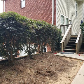 Bush Trimming by Joe's Lawn service reviewed on August 15, 2025