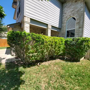 Bush Trimming by TKW lawn maintenance reviewed on August 19, 2025