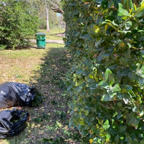Bush Trimming by A Cutting Edge Lawn Care reviewed on August 18, 2025