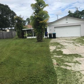 Bush Trimming by Owen Lawn Service reviewed on August 19, 2025