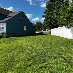 residential landscaping by Trimmin' Property Management LLC reviewed on August 17, 2025