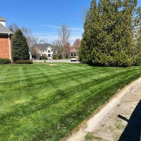 landscape maintenance by Justin Myers reviewed on August 16, 2025