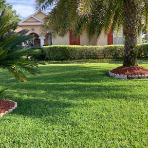 yard work by Ronnie Thacker reviewed on December 2, 2025