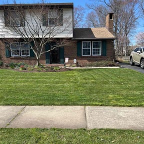 landscaping services by Cohen Lawn & Landscaping reviewed on August 19, 2025
