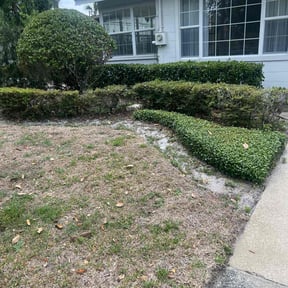 Bush Trimming by Felicianos Lawn Maintenance LLC reviewed on August 21, 2025