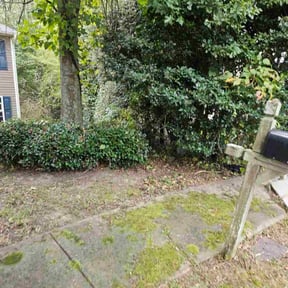 Bush Trimming by Marvin&#039;s Services LLC reviewed on October 21, 2025