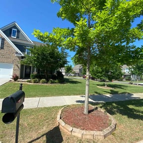 landscape maintenance by Lawnspire reviewed on August 21, 2025
