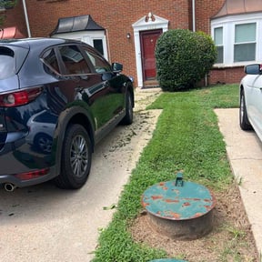 Bush Trimming by E&amp;G landscaping reviewed on November 25, 2025