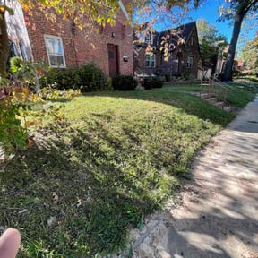 Leaf Removal by CS Lawn Services reviewed on November 8, 2025