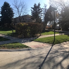 Leaf Removal by Kev’s Small Property Management reviewed on September 19, 2025