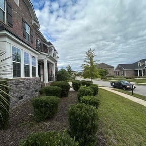 Bush Trimming by Geezs Lawn Care reviewed on October 21, 2025