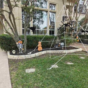 Flower Bed Weeding by Clear Sky Property Services reviewed on September 16, 2026